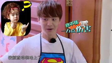 吃瓜娱乐酱柯基,揭秘娱乐圈幕后趣事